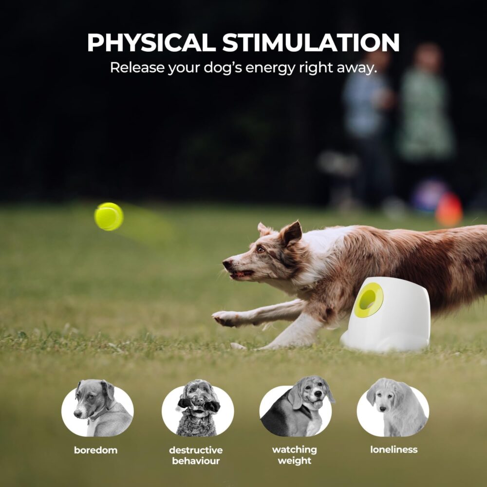 Automatic Dog Ball Launcher - Image 2